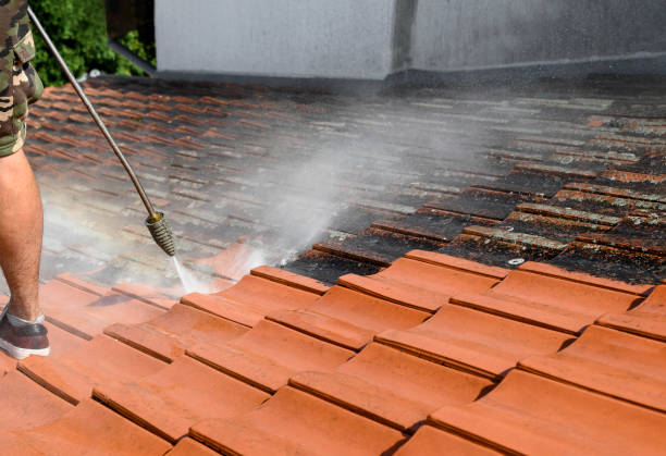 Best Local Pressure Washing Services  in Highlands Ranch, CO